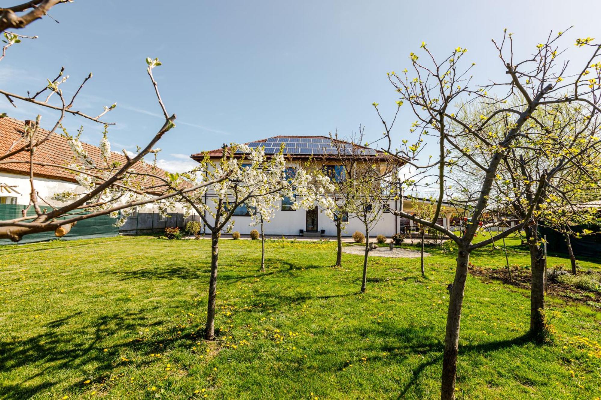 Hotel Gasthaus Sacalaz Timișoara Zewnętrze zdjęcie